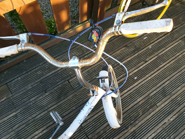 raleigh bluebell bike